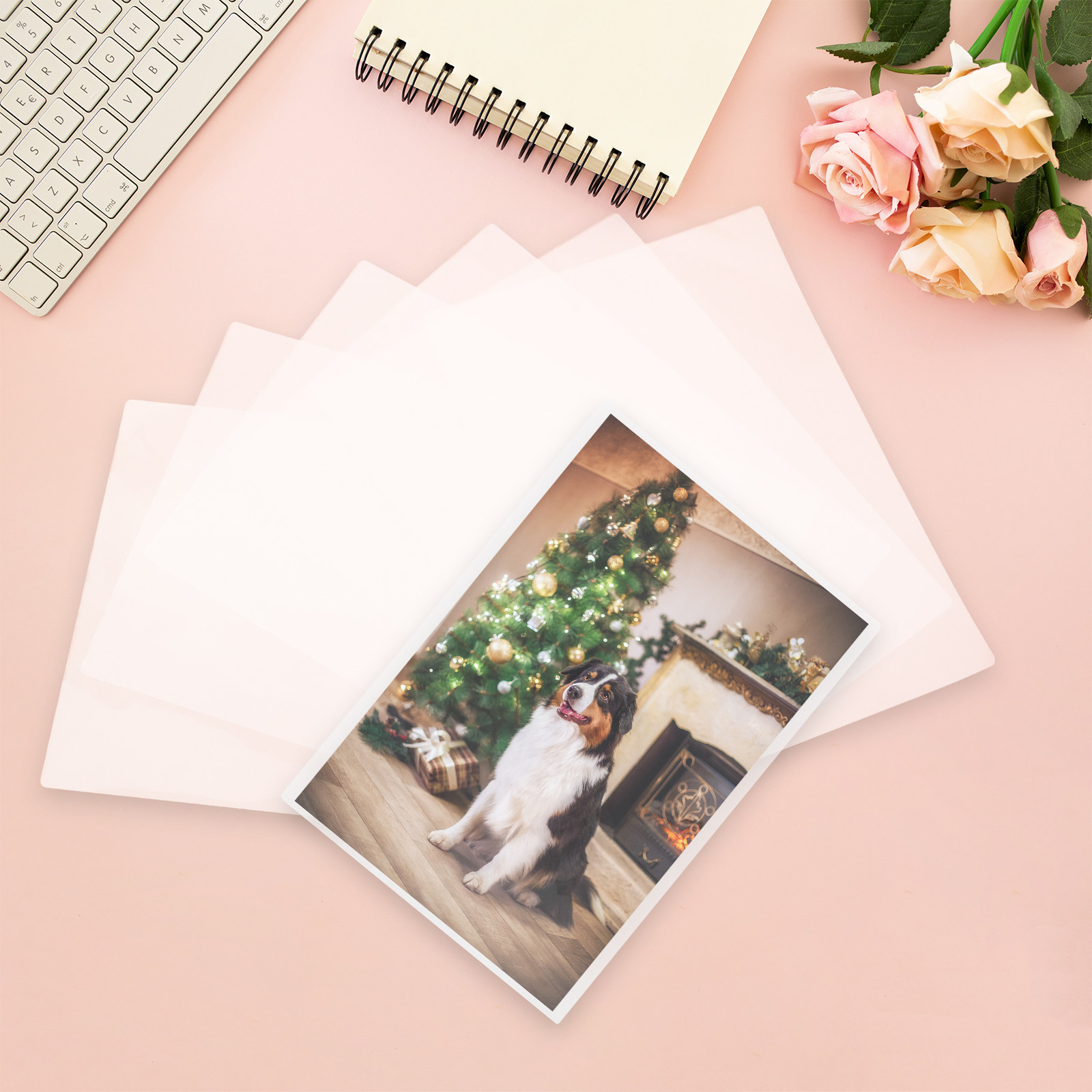 100Pcs Laminating Pouches for  - Document Laminator Pouch บทวิจารณ์และราคา