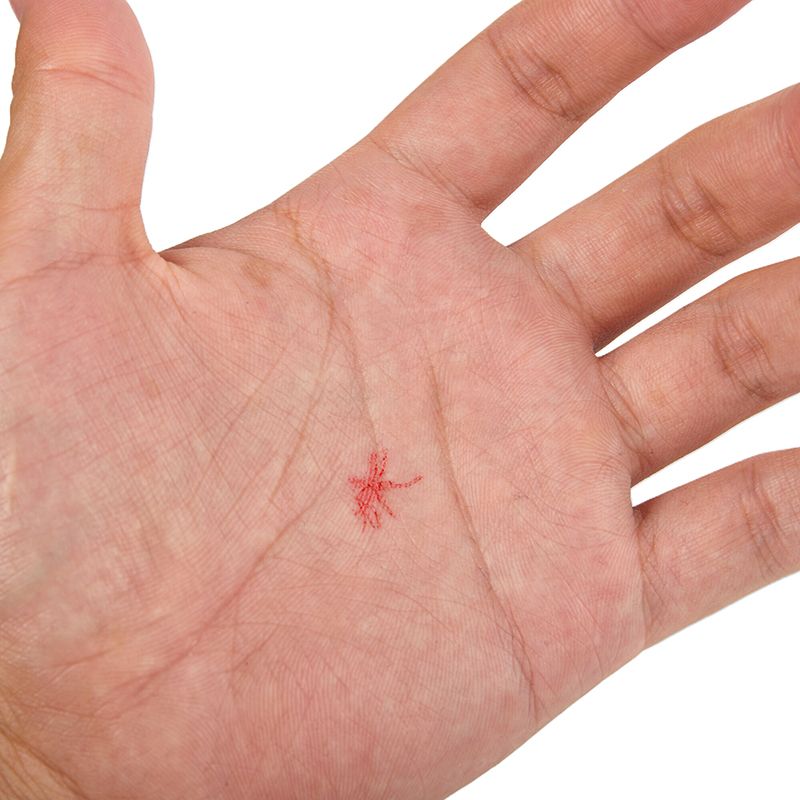 1/4pcs Mosquito Pattern Self-I - Self Inking Stamp บทวิจารณ์และราคา